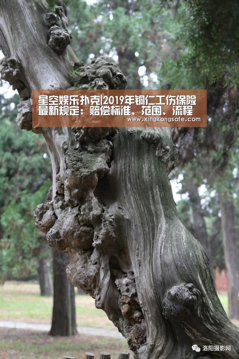 星空娱乐